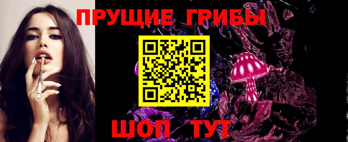 Новодвинск  Псилоцибиновые грибы GOLDEN TEACHER  Вход с VPN 