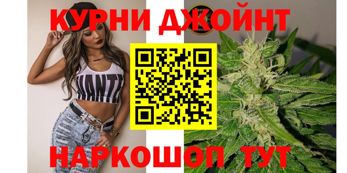 МАРИХУАНА план  Вход с VPN  Конопля конопля  Новодвинск  Каннабис индика 